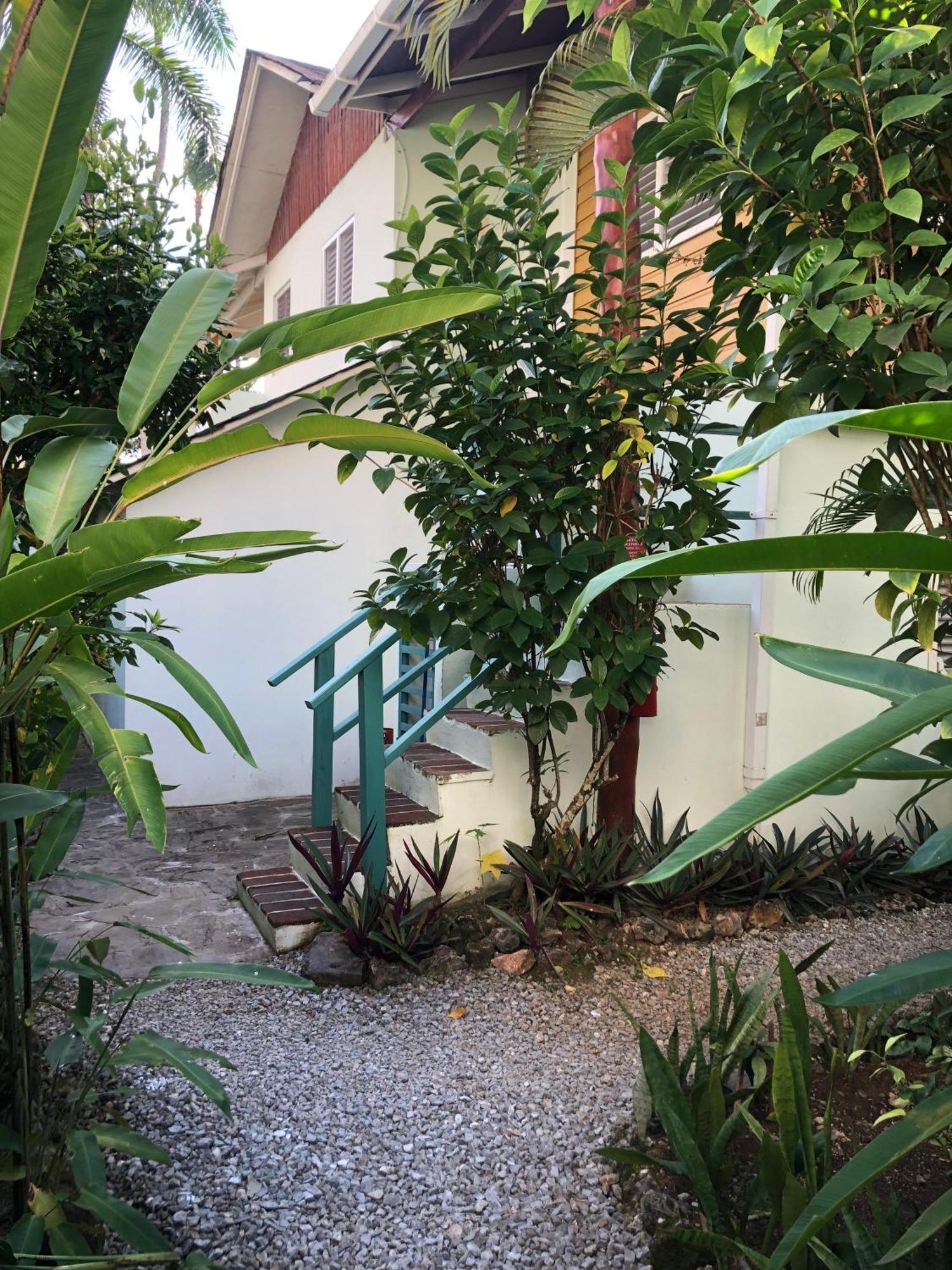 Hotel Casa Robinson Las Terrenas Exterior photo